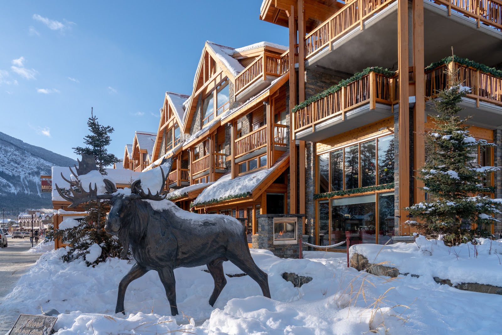 Moose Hotel and Suites