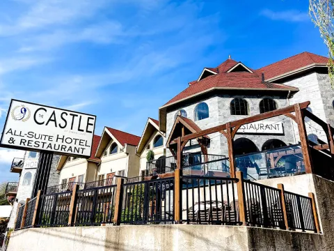 The Castle at Swan Lake
