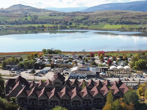The Castle at Swan Lake