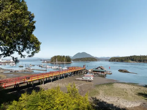 The Shoreline Tofino